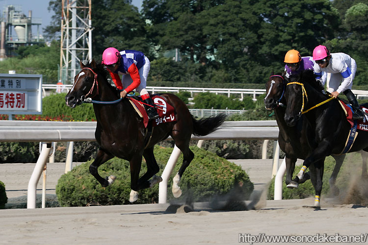 �W���C�[��