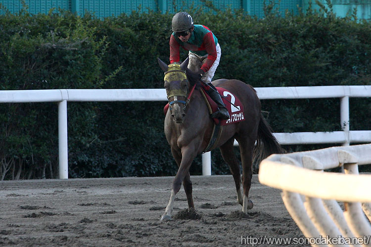 ���L�m�u���b�T��