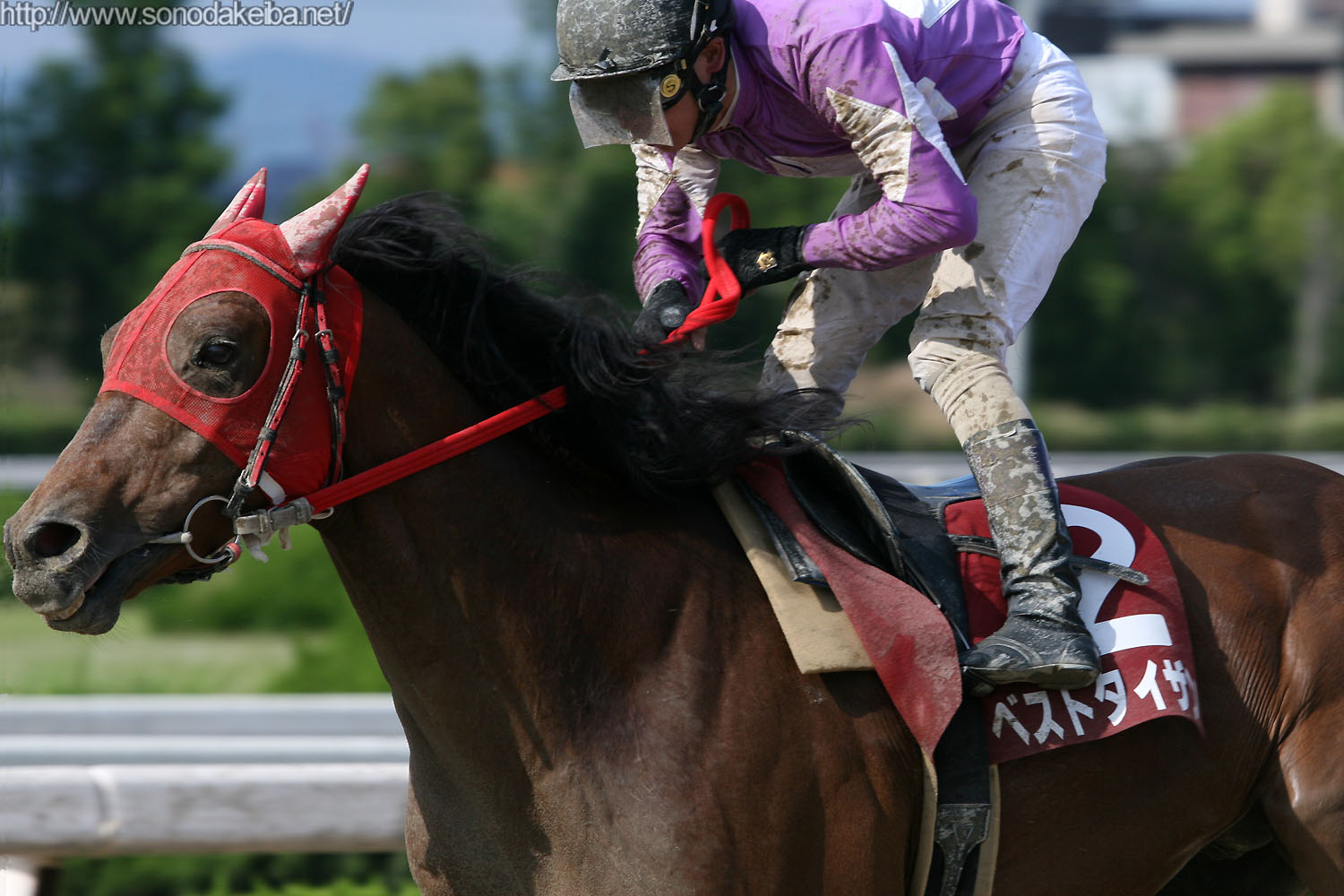 ��5�񉀓c�t�����h���[�J�b�v