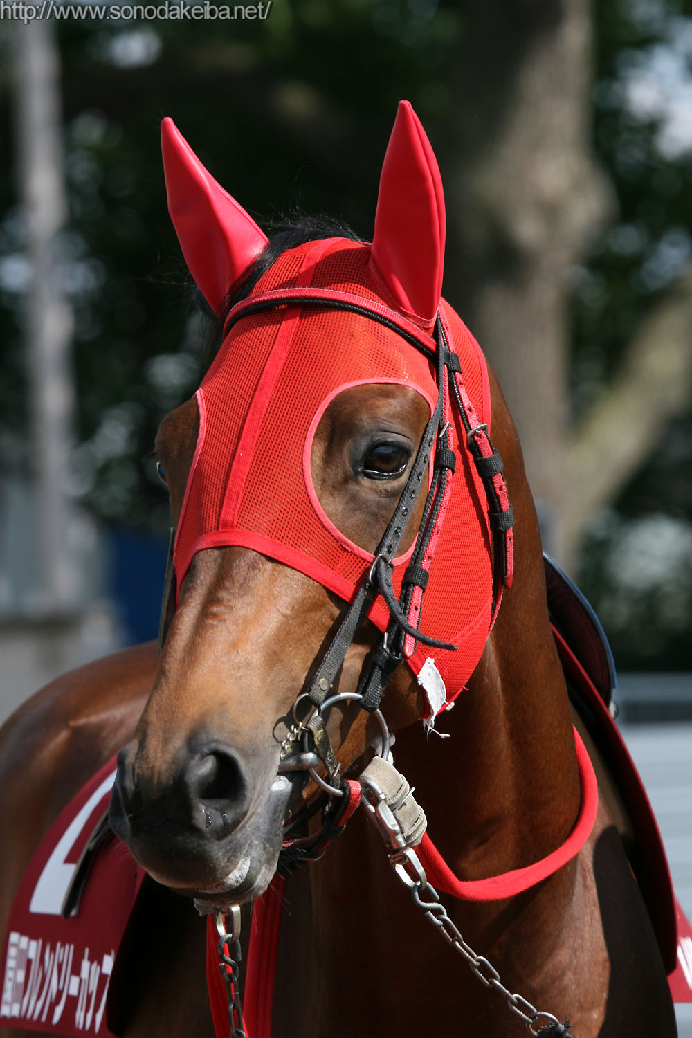 �x�X�g�^�C�U��