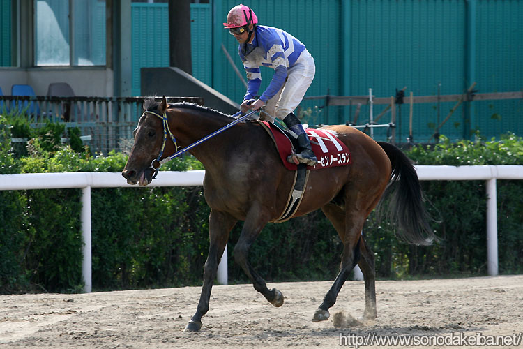 �g�[�Z���m�[�X����