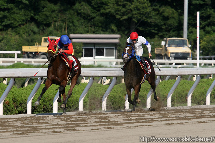 �^�b�J�[���[���[�ƃ��R�~���N��