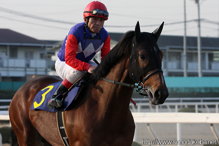 �쌴����R��