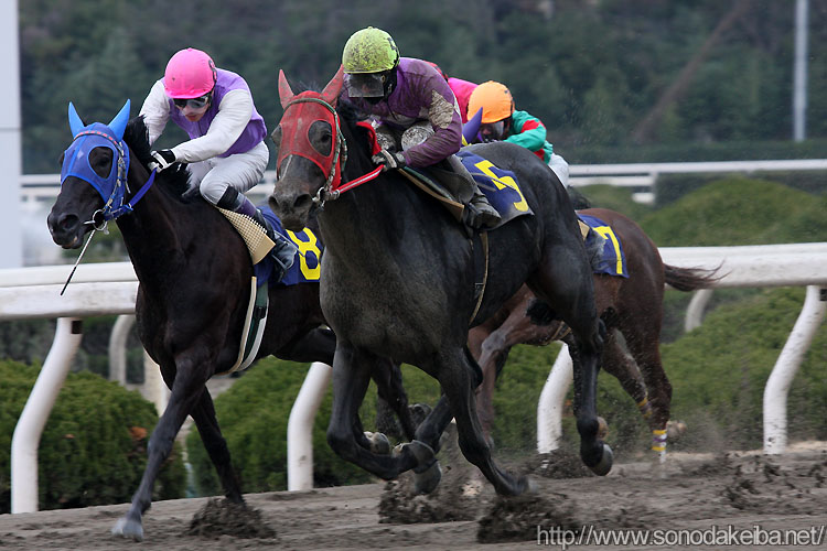 �p�Z�e�B�b�N�V�[��