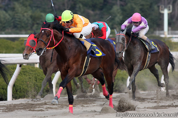 �R�X���X�T���_�[