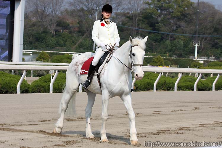 �}�R�[���[