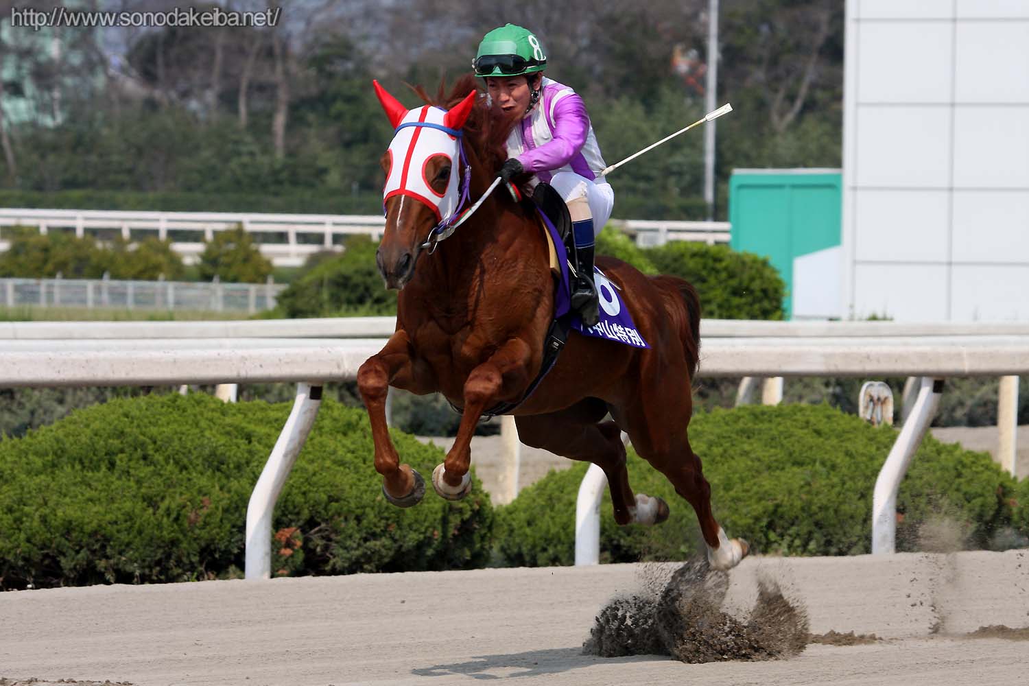 �W�����v�H