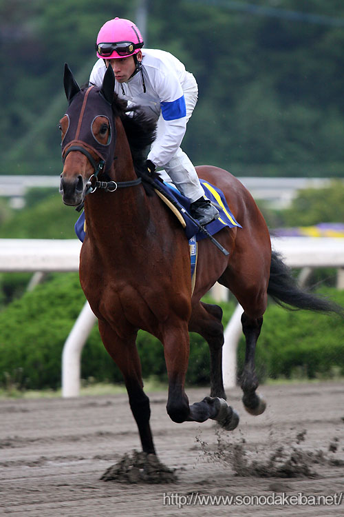 �m�[���A�E�H�[