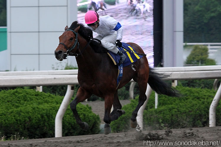 �m�[���A�E�H�[