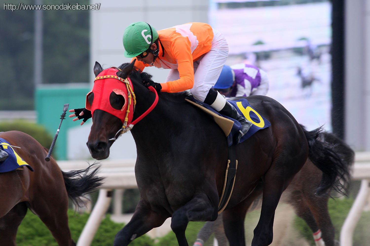 ���`�𗎂Ƃ����ؑ��R��