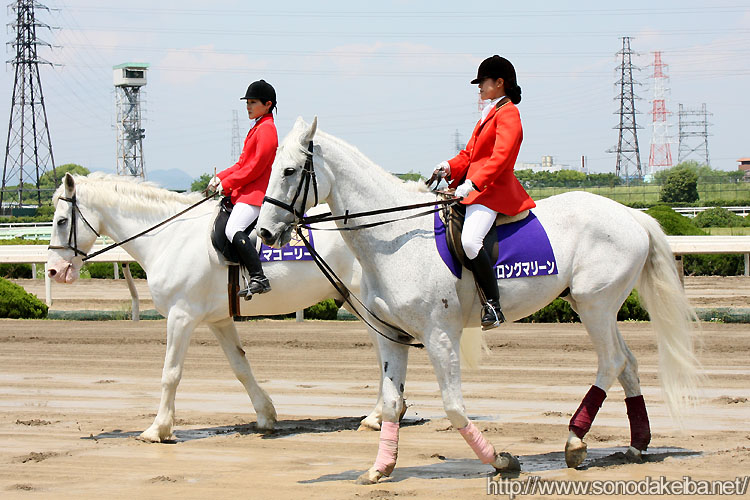 �����O�}���[��