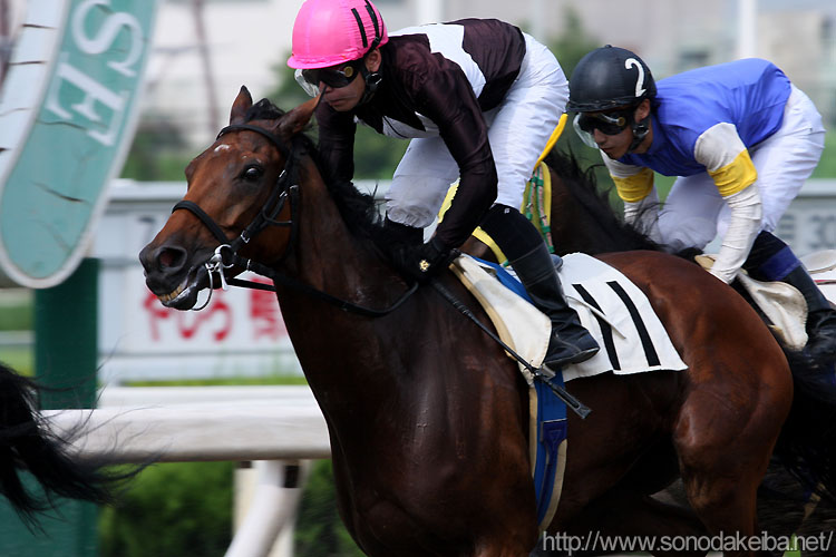 �G���U�x�X�N�B�[��