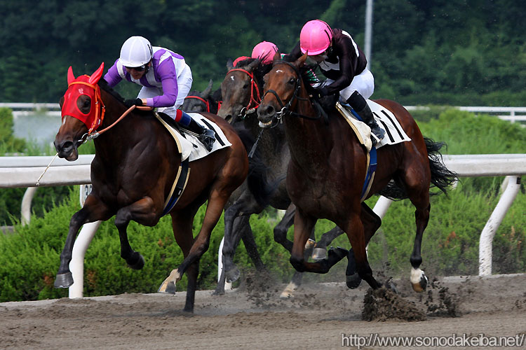 �G���U�x�X�N�B�[��