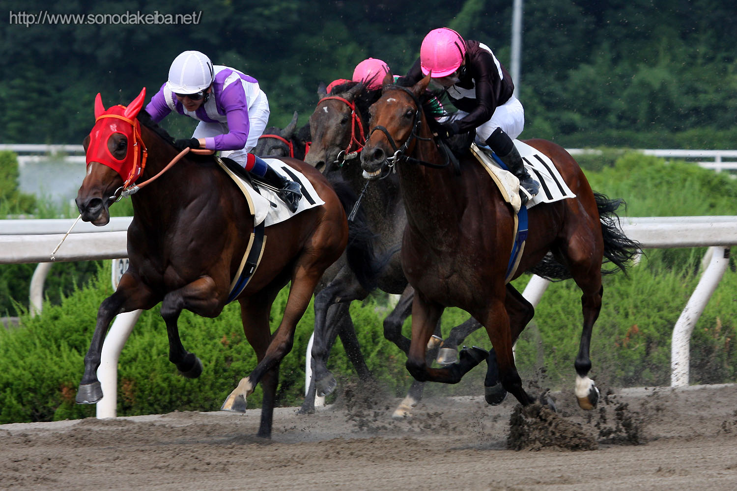 �G���U�x�X�N�B�[��