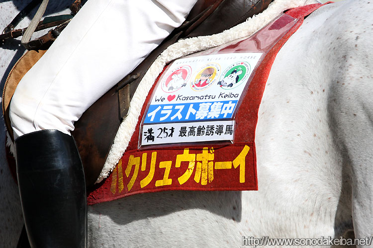 �C���X�g��W��