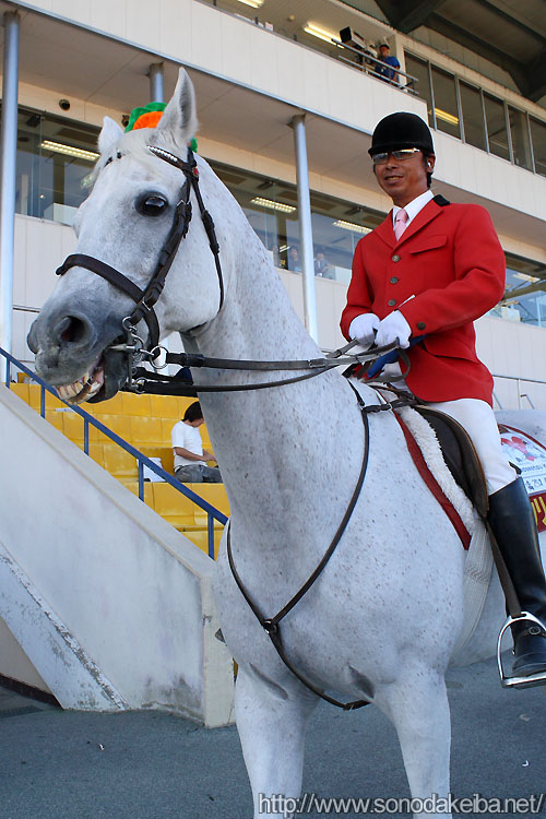 �p�N����