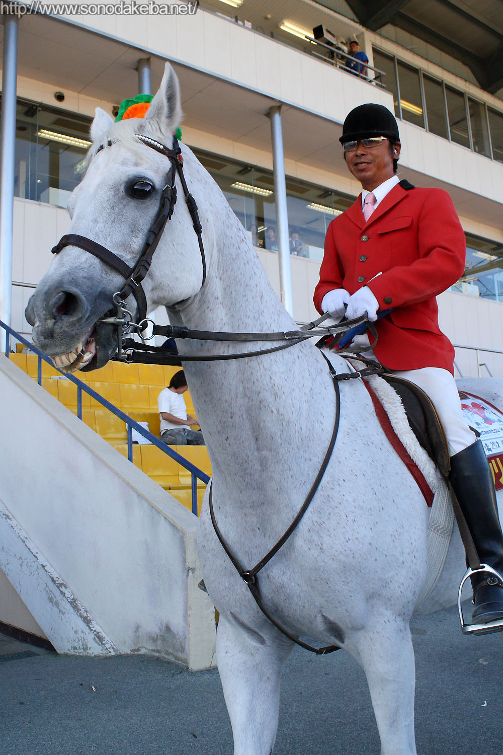 �n�N�����E�{�[�C