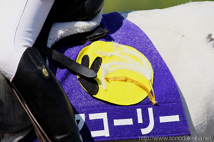 �}�R�[���[