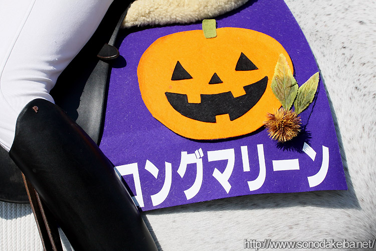 �����O�}���[��