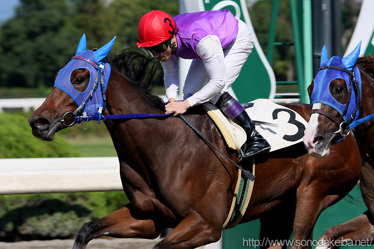 �X�v�����_���[�Y