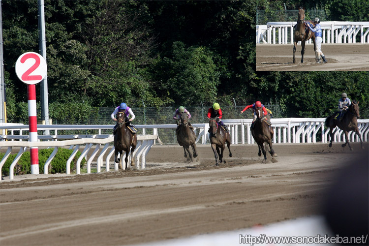 �g�[�Z���m�[�X����