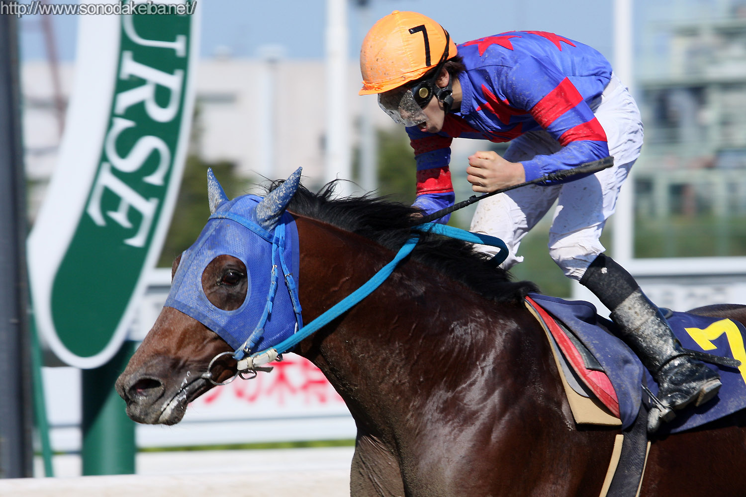 �������v�A�A���N���s�[�X