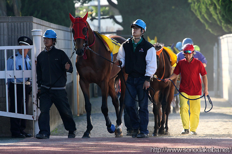 �x�X�g�^�C�U��