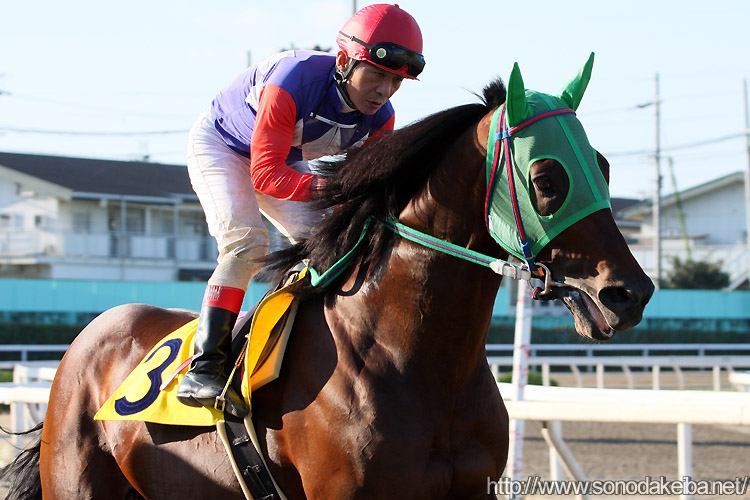 �쌴�R��ƃO���[�g�X�e�[�W