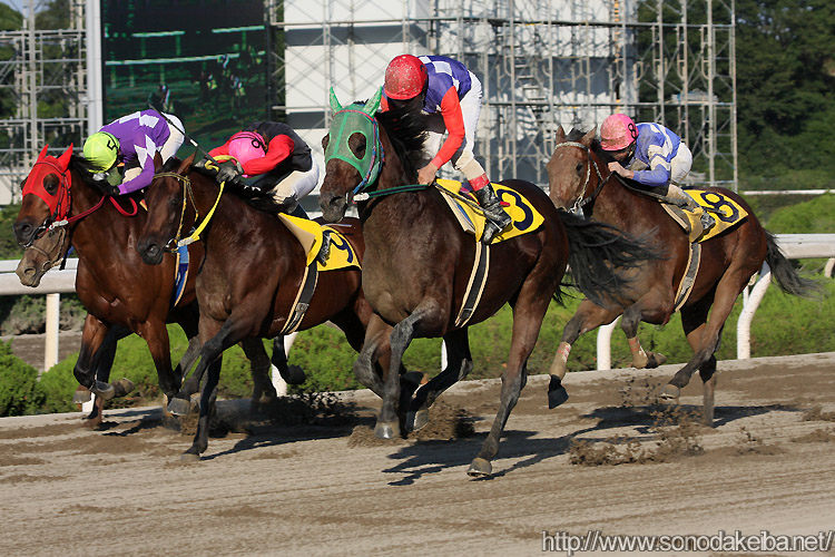 �쌴�R��ƃO���[�g�X�e�[�W