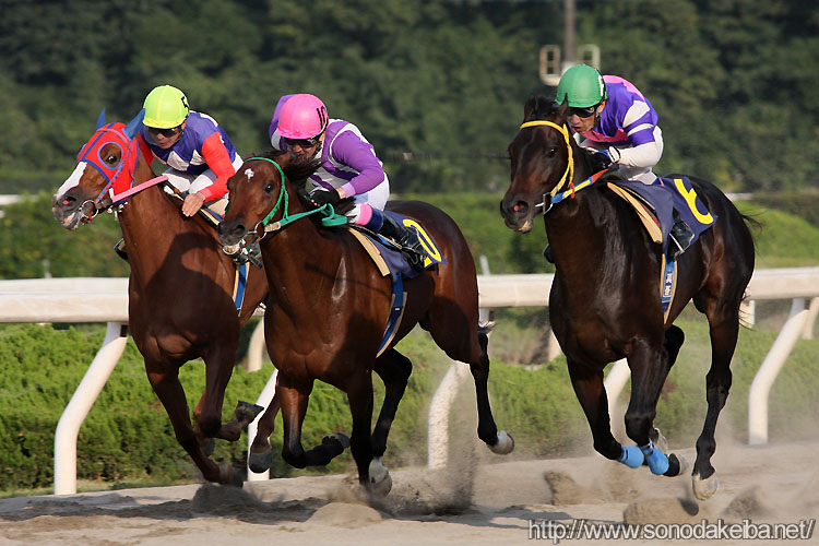 ���{���u�ƍ�{�a��R��