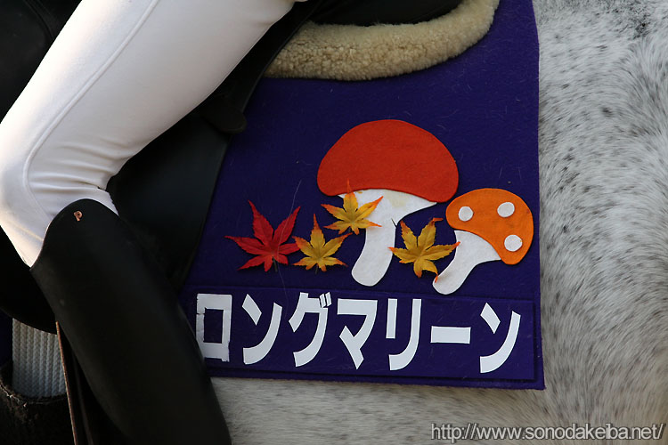 �����O�}���[���H�[�b�P��