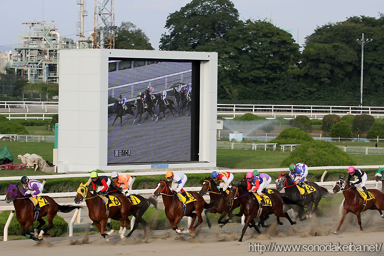 �I�[�����r�W����