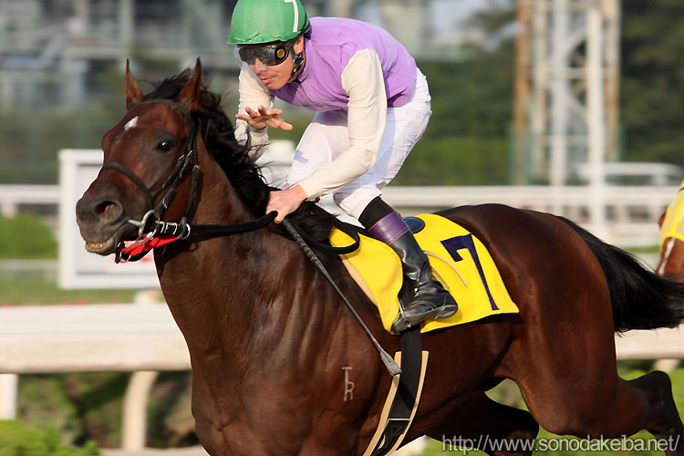 �R�X���y���^�N���Ə����R��