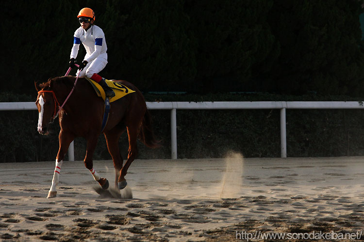 ���[�X���I����