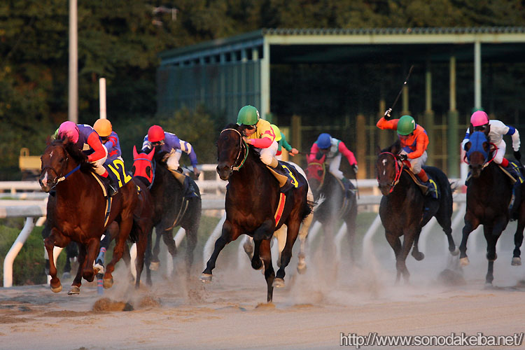 �}�O�}�T�C��