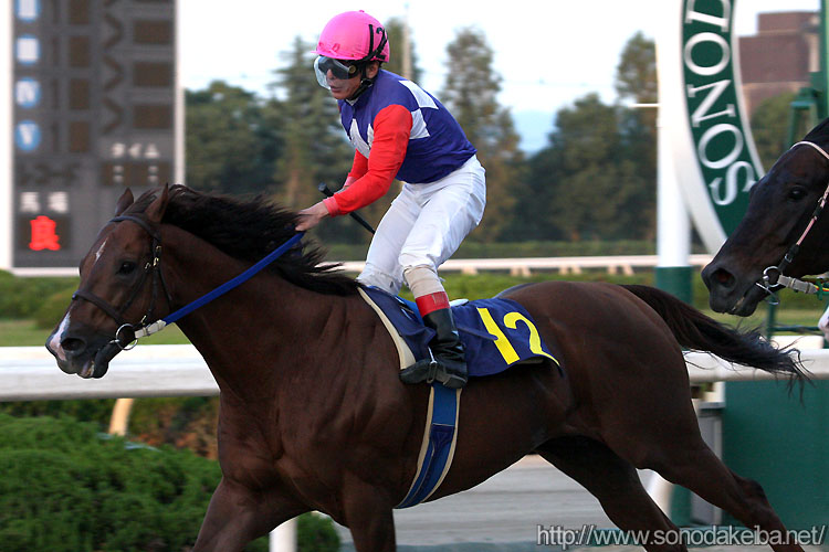 �����[�h�p�b�g��