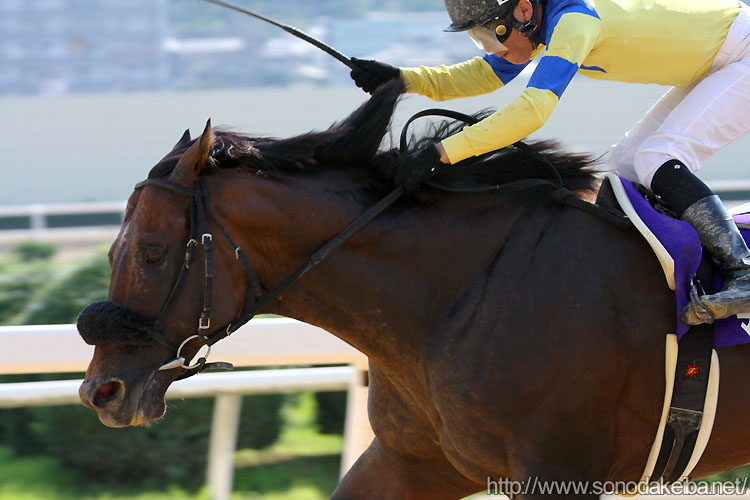 �}�����X�|�b�g