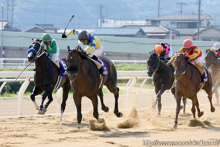 �}�����X�|�b�g