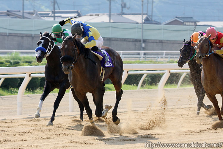 �}�����X�|�b�g