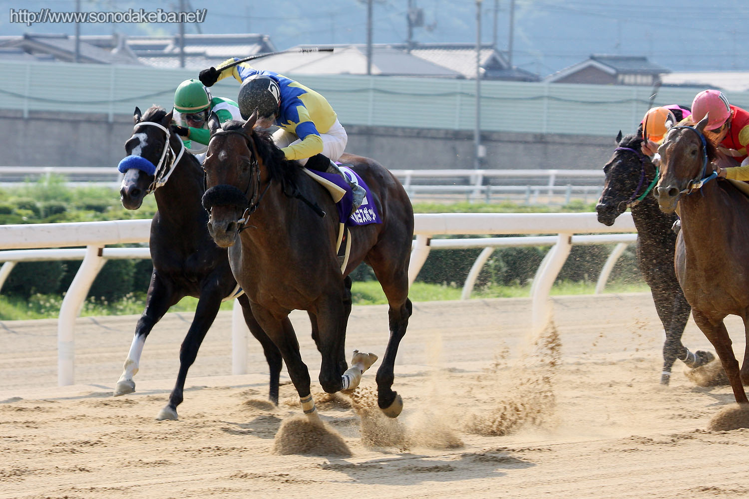 �I�b�Y�p�[�N�O�����v��2008