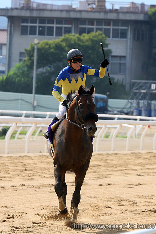 �}�����X�|�b�g