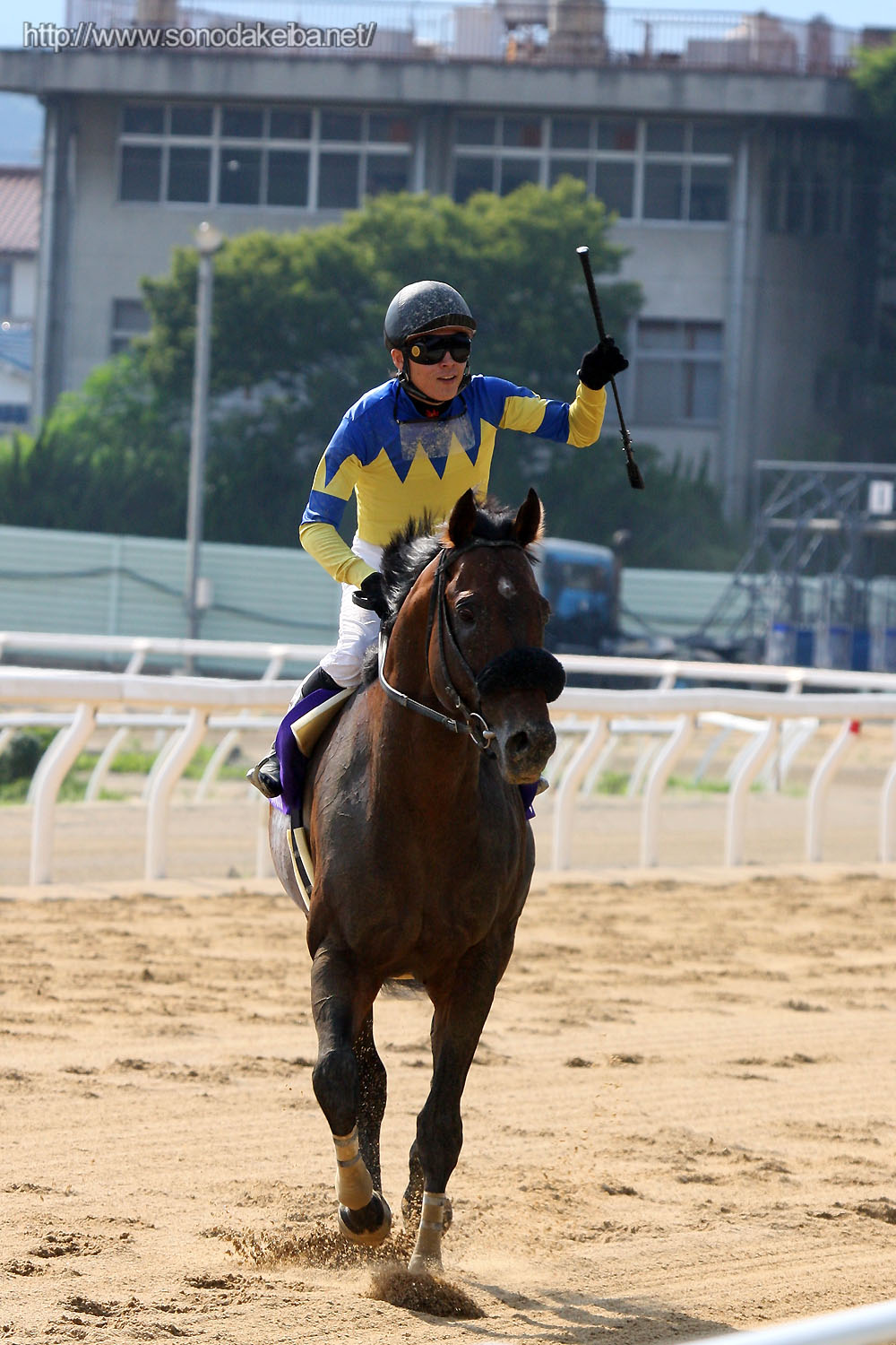 �I�b�Y�p�[�N�O�����v��2008