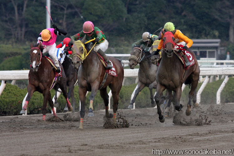 �L�[�|�P�b�g�A�m�[���C�N