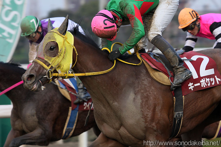 �L�[�|�P�b�g