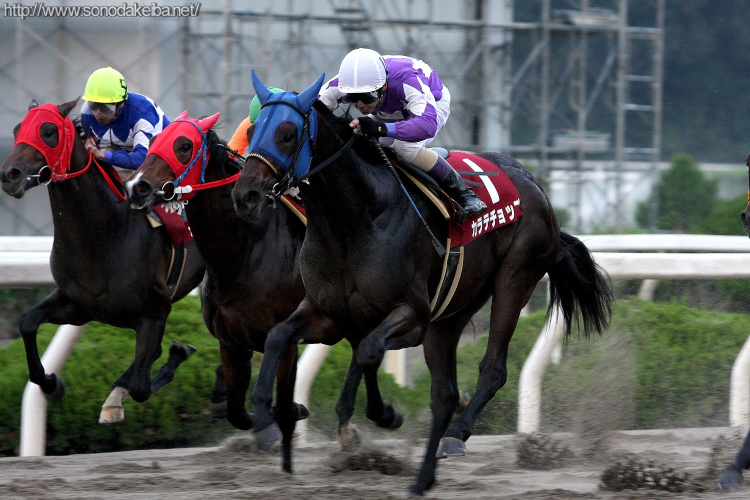 ��1�񕺌Ɏ���