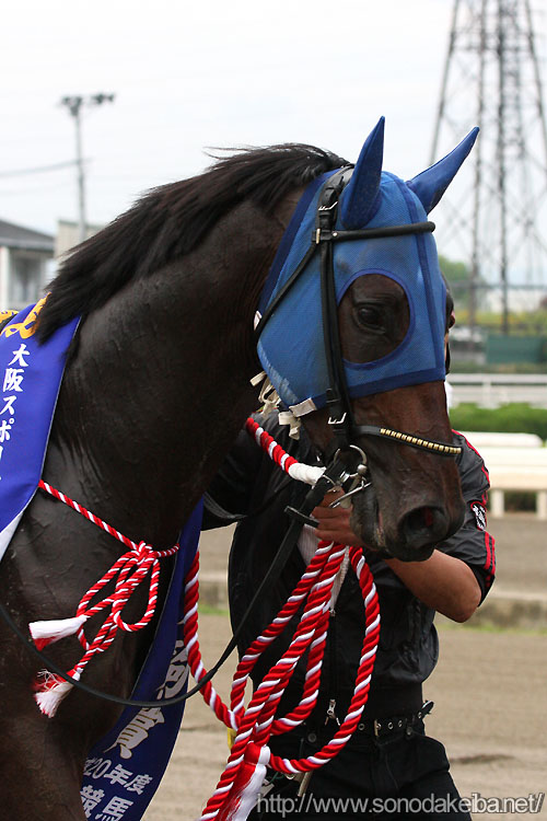 �J���e�`���b�v