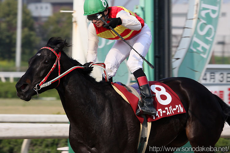 �f�B�A�[�X�p�[�N��