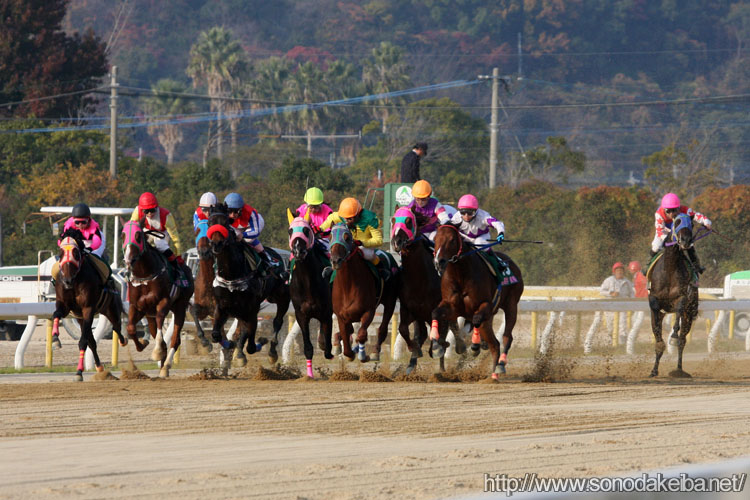 ���f�B�[�X�W���b�L�[�Y�V���[�Y2008�E�r��