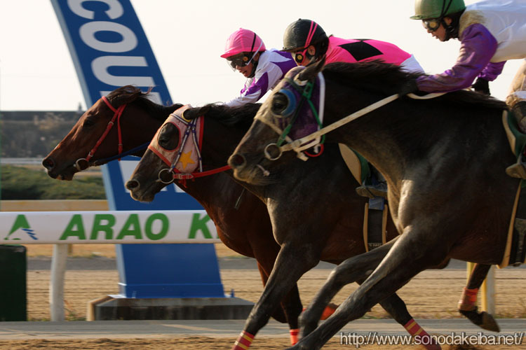 ���f�B�[�X�W���b�L�[�Y�V���[�Y2008�E�r��