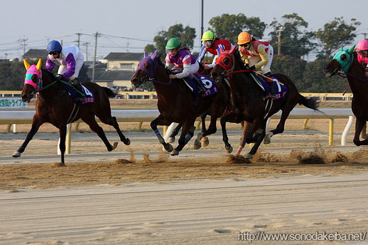 ���f�B�[�X�W���b�L�[�Y�V���[�Y2008�E�r��